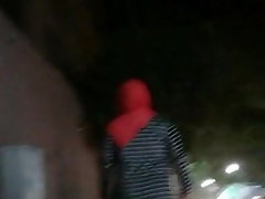 الحمار الكبير الحجاب